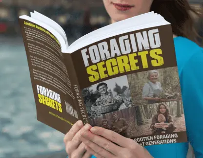 Foraging Secrets book